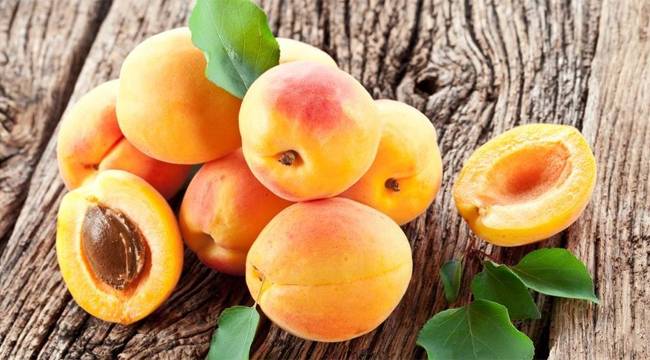 KAYISININ İNSAN SAĞLIĞINA YARARLARI