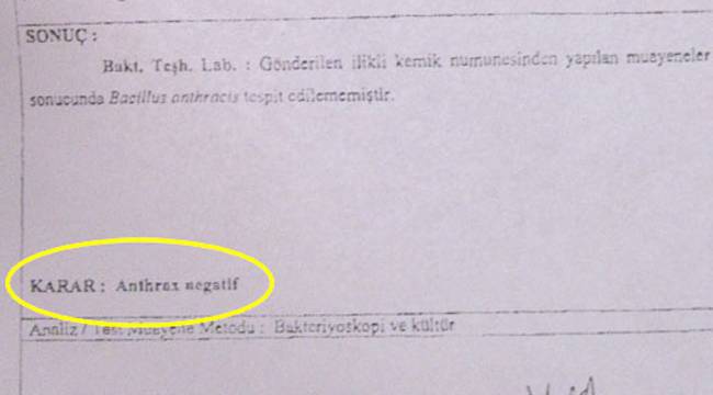 ÇAYELİ'NDEKİ ŞARBON ŞÜPHESİ İNCELENİYOR