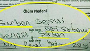 ÖLÜM BELGESİ'NE GÖRE SEBEP ŞARBON!