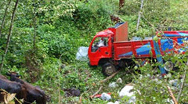 RİZE'DE KAMYON ŞARAMPOLE YUVARLANDI: 4 YARALI