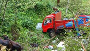 RİZE'DE KAMYON ŞARAMPOLE YUVARLANDI: 4 YARALI
