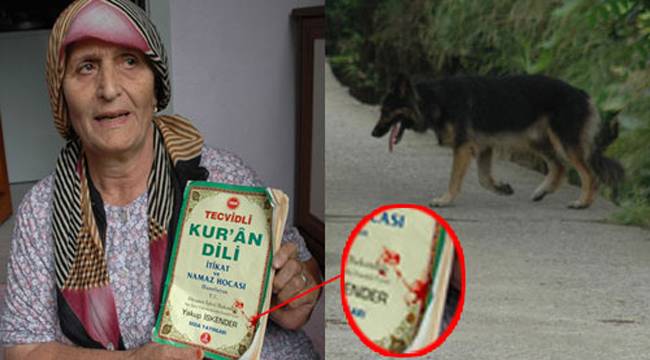 RİZE'DE KÖPEK CAMİYE GİDEN ÇOCUĞU ISIRDI / VİDEO