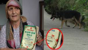 RİZE'DE KÖPEK CAMİYE GİDEN ÇOCUĞU ISIRDI / VİDEO