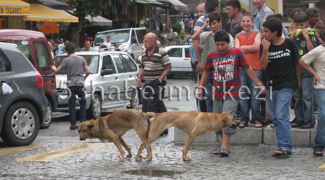 RİZE'DE TRAFİĞİ ALTÜST EDEN DURUM!