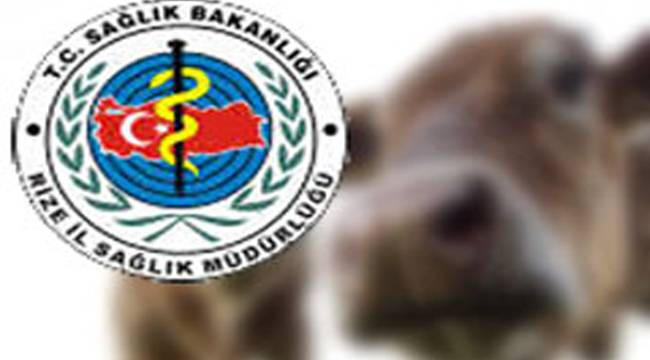 ŞARBON HASTALIĞI'NA RASTLANMADI