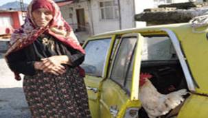 RİZE'DE 1975 MODEL MERCEDES KÜMES OLDU