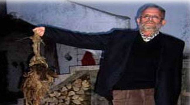 RİZE'DE İNEĞİN KARNINDAN 7 KİLO İP ÇIKTI