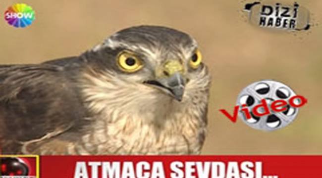 RİZELİ'NİN ATMACA TUTKUSU SHOW HABER'DE
