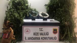 Güneysu'da uyuşturucu operasyonu: 2 gözaltı