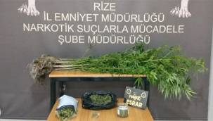 Rize'de uyuşturucu taciri yakalandı