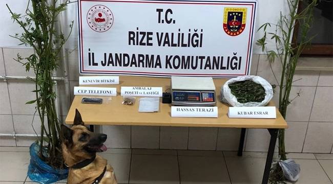 Çayeli'nde uyuşturucu satıcısına operasyon