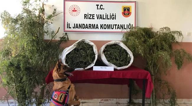 Rize'de 12 kilo uyuşturucu yakalandı