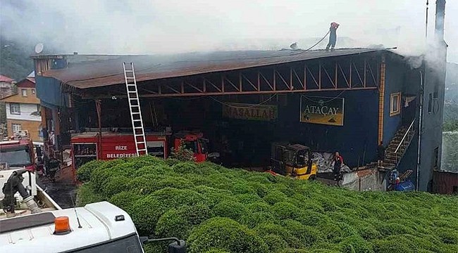 Güneysu'da çay fabrikasında yangın çıktı