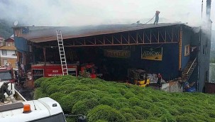 Güneysu'da çay fabrikasında yangın çıktı