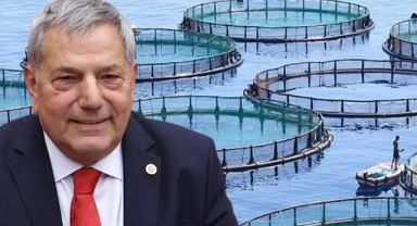 Pazar'da halka rağmen kafes balıkçılığı ısrarı sürüyor