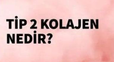 Tip 2 Kolajen